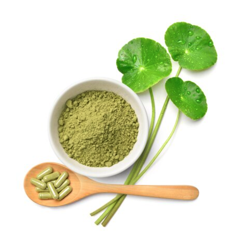 Meniran Extract